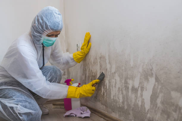 Best Crawl Space Mold Removal  in Largo, FL