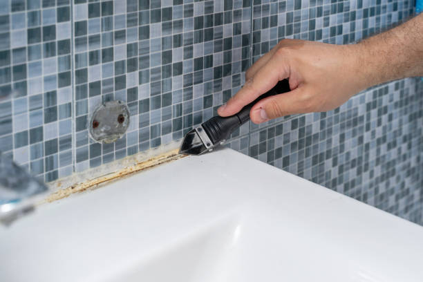 Best Attic Mold Removal  in Largo, FL